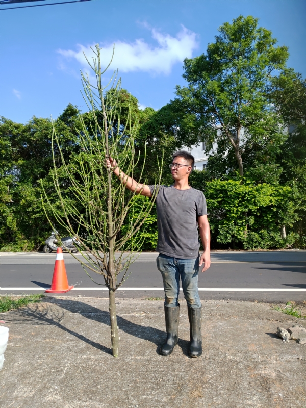 jeff的第二张照片--福建中老年相亲网