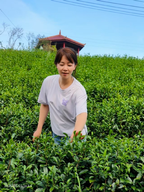 Q绮芳的第一张照片--福建中老年相亲网